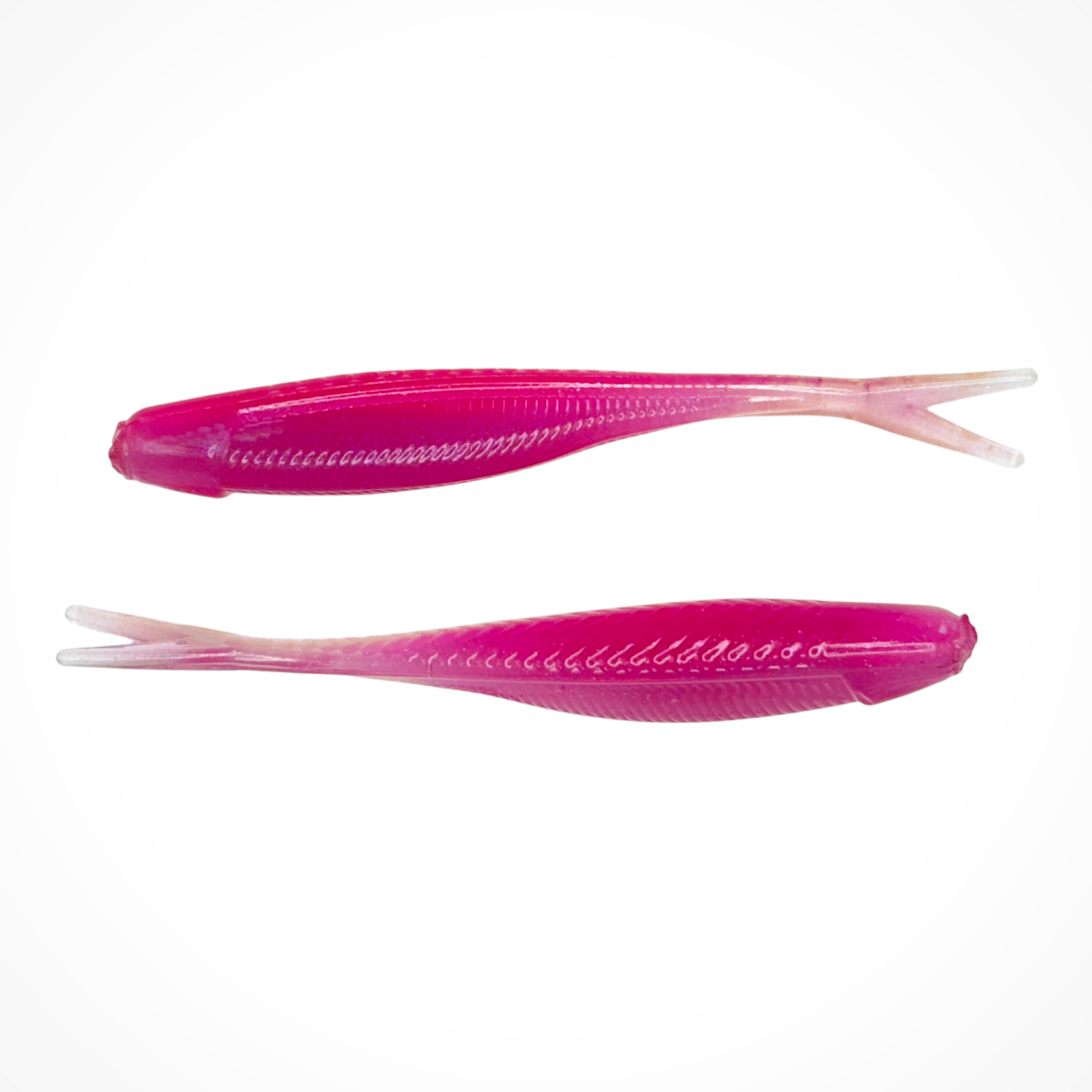 Tracer Shad