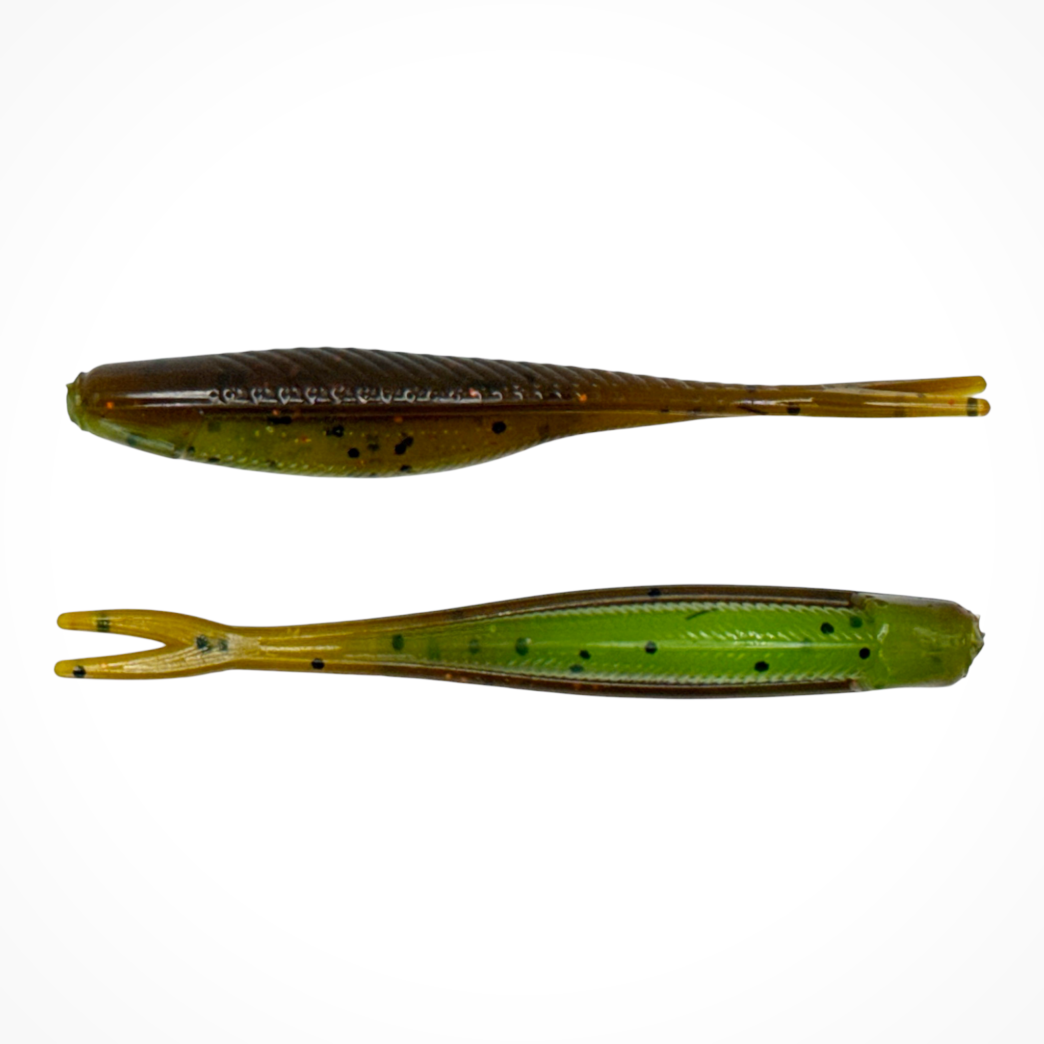 Tracer Shad
