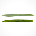 5" Hawg StIx