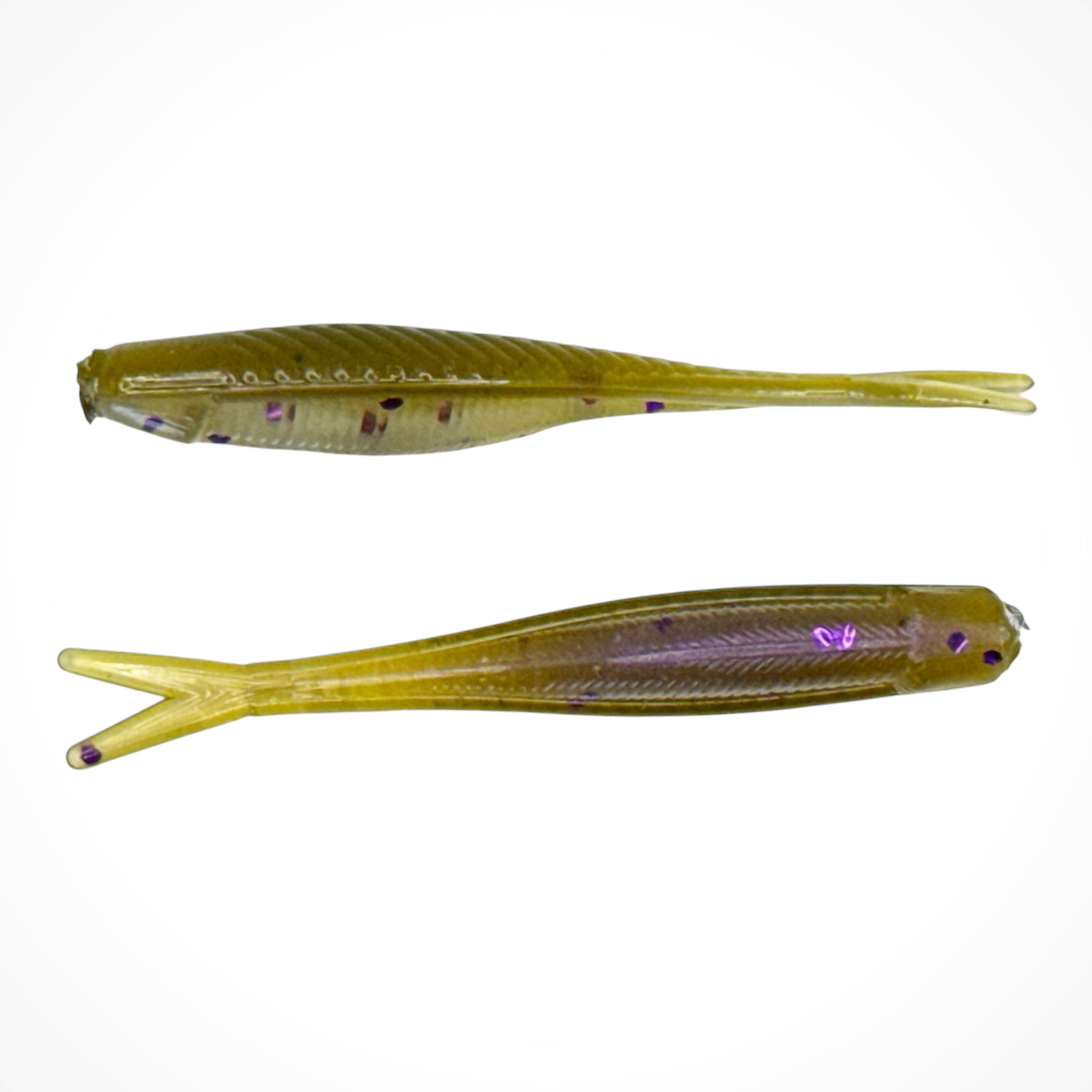 Tracer Shad