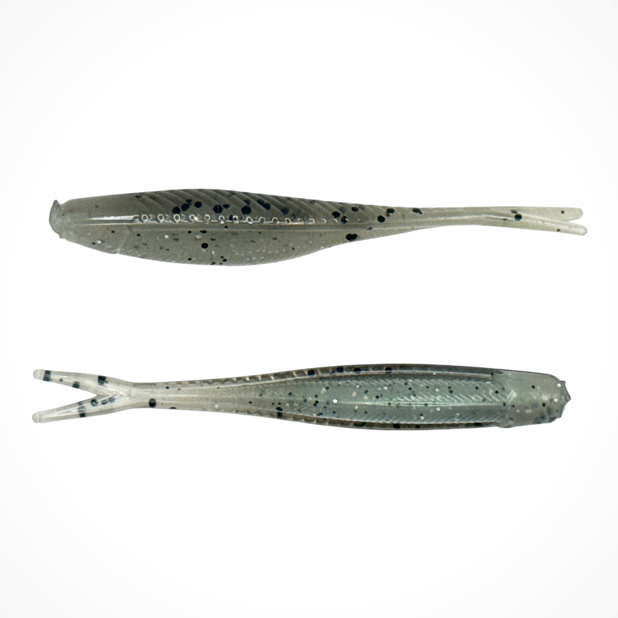Tracer Shad