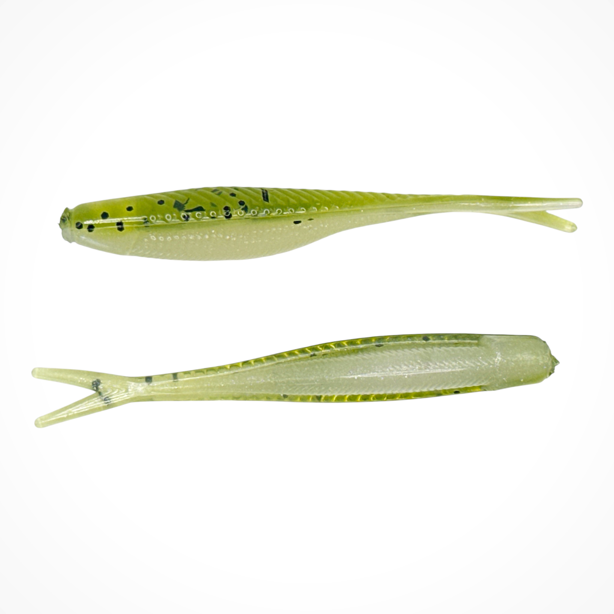 Tracer Shad