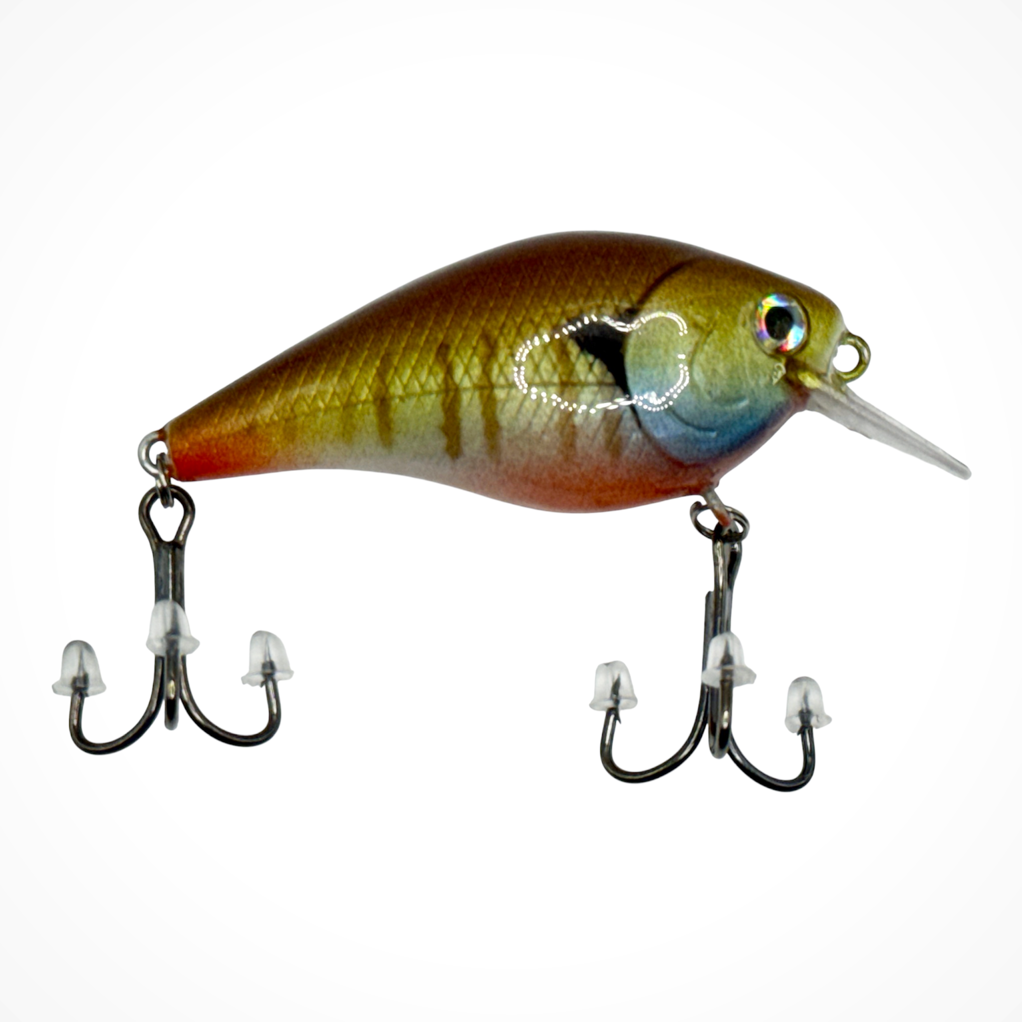 1.5 Squarebill