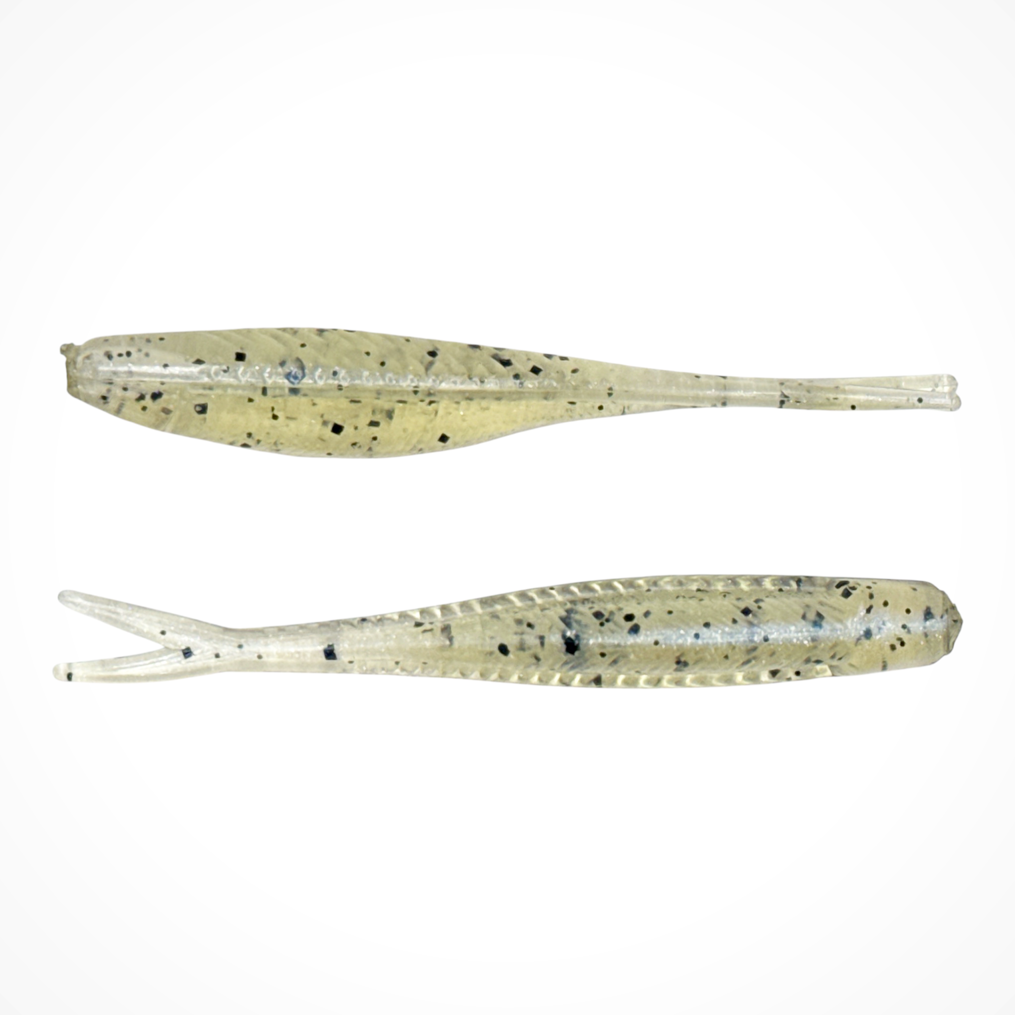 Tracer Shad