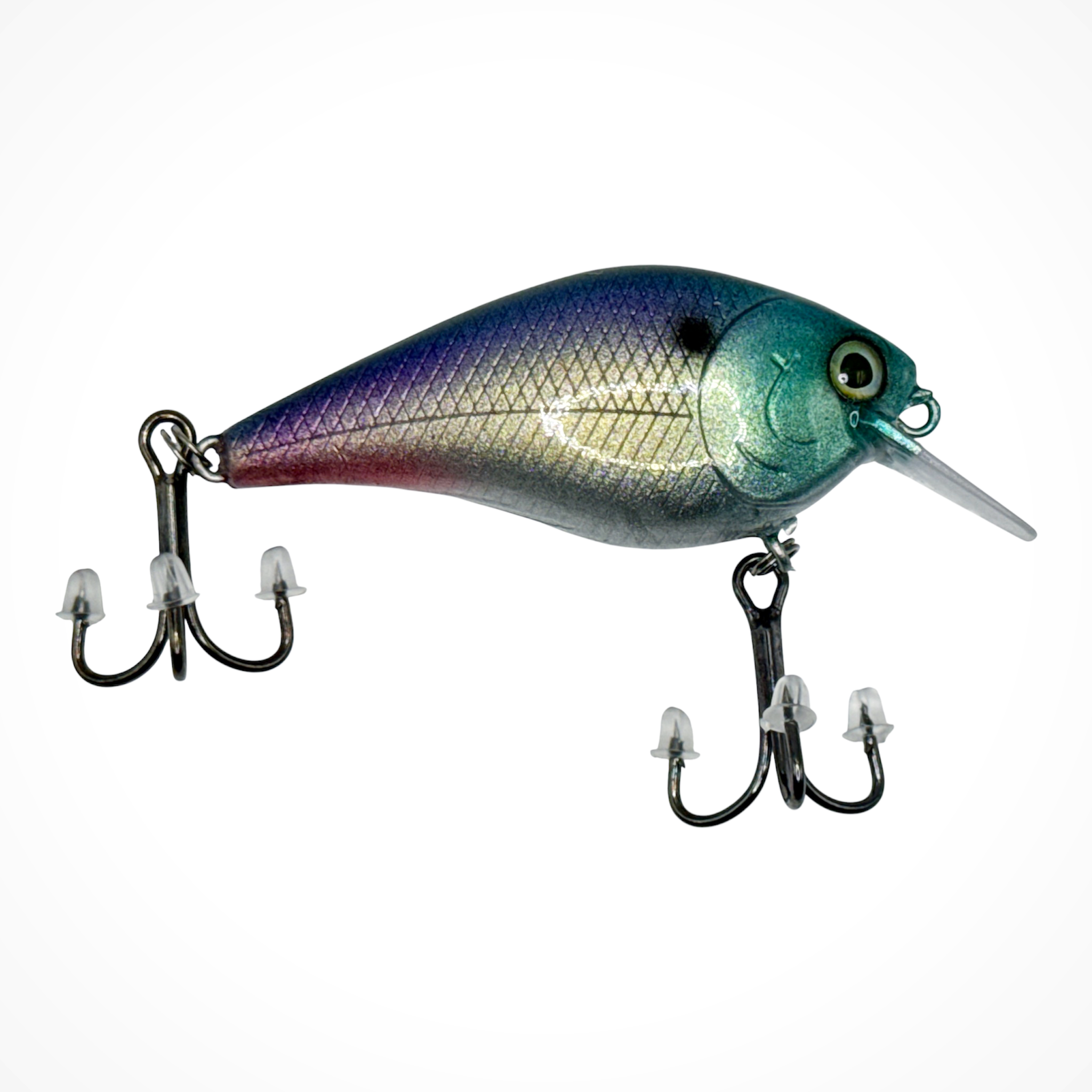 1.5 Squarebill