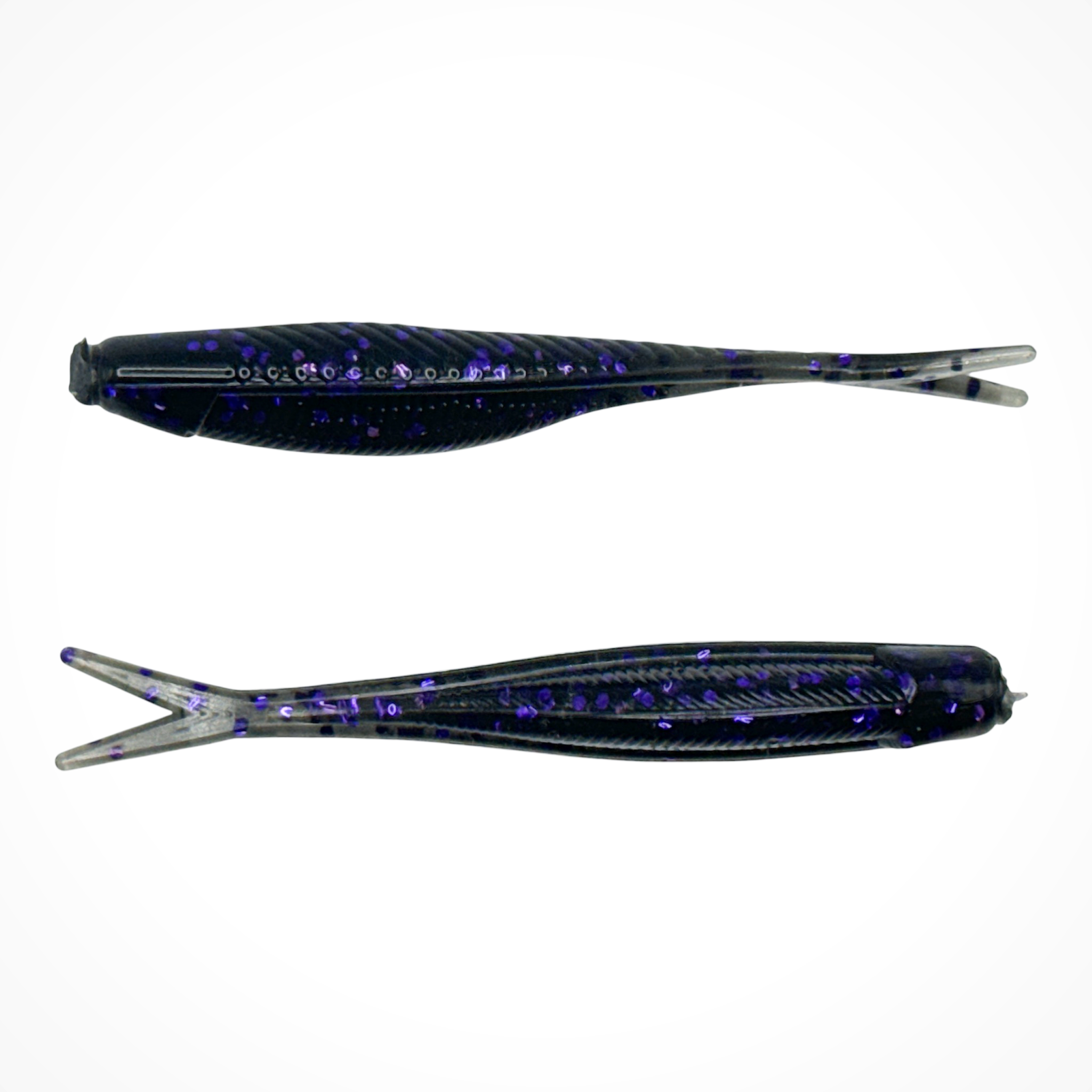 Tracer Shad