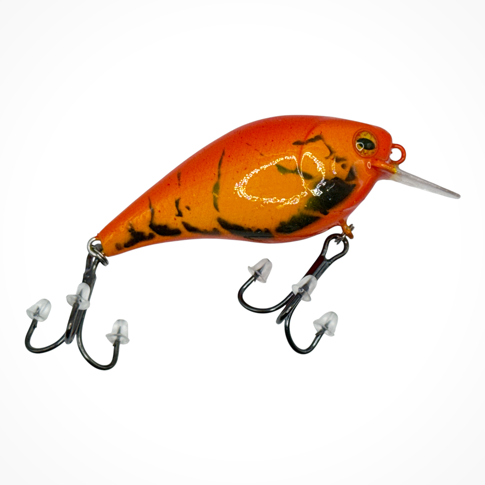 1.5 Squarebill